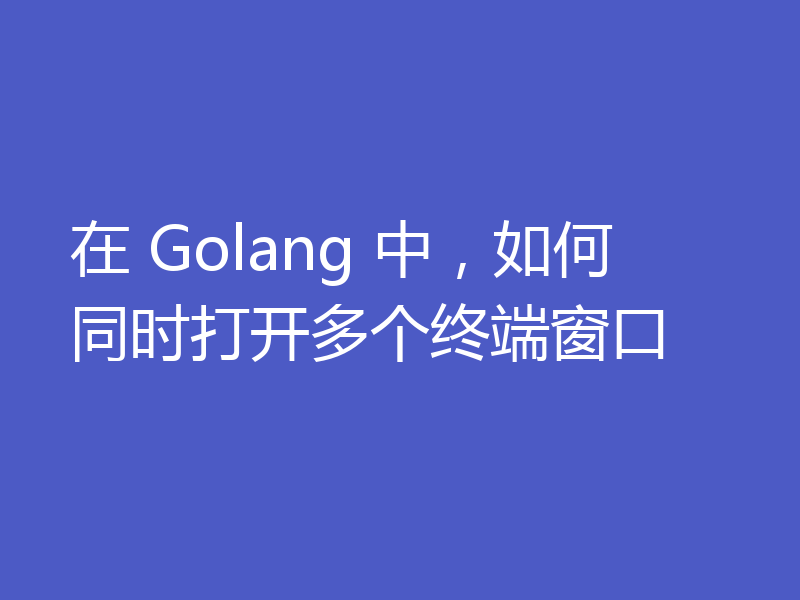 在 Golang 中，如何同时打开多个终端窗口