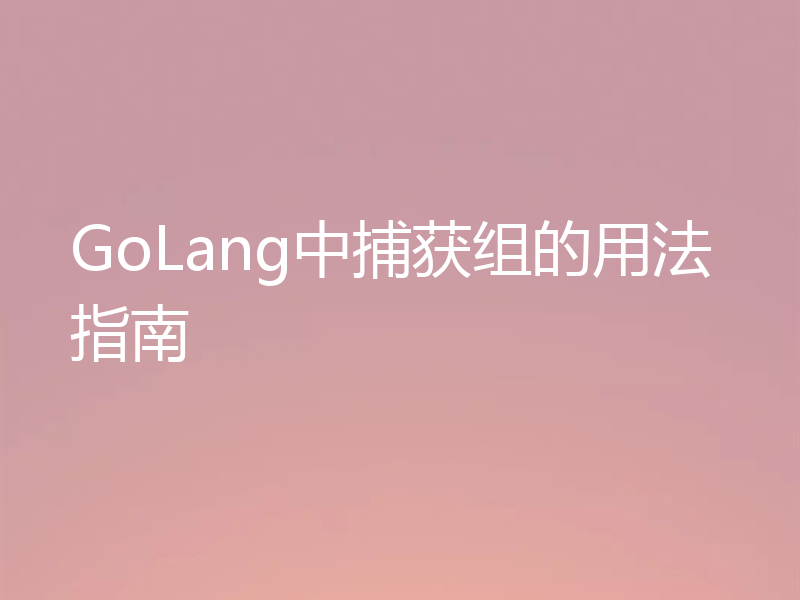 GoLang中捕获组的用法指南