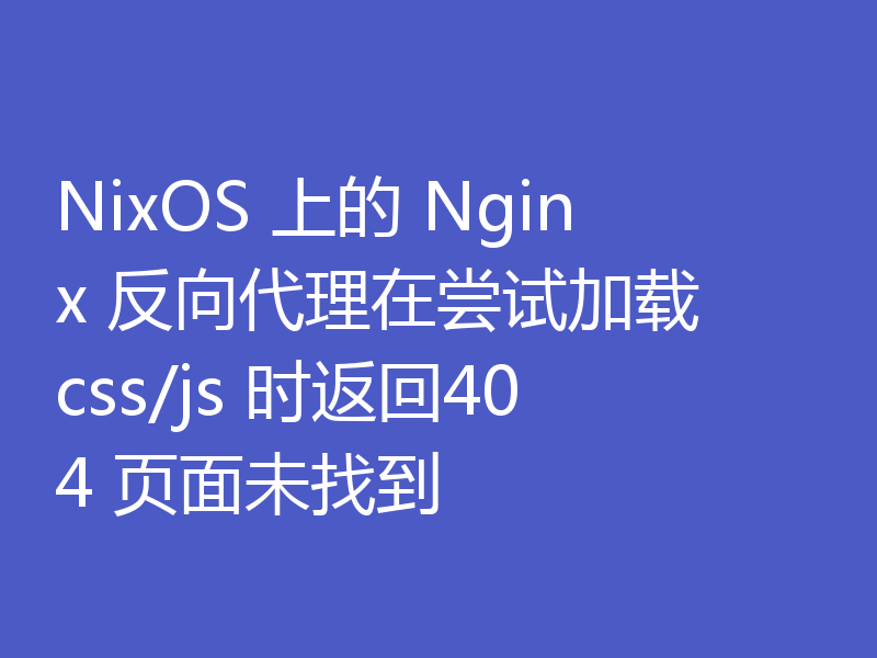 NixOS 上的 Nginx 反向代理在尝试加载 css/js 时返回404 页面未找到