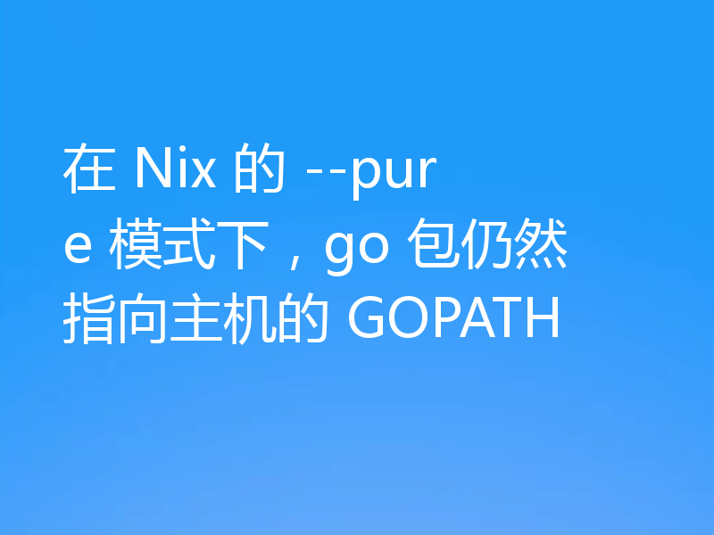 在 Nix 的 --pure 模式下，go 包仍然指向主机的 GOPATH