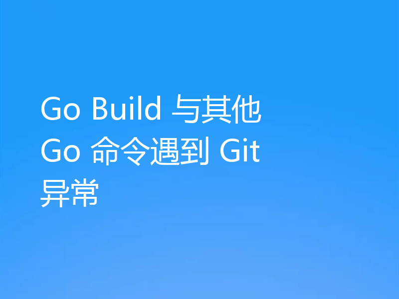 Go Build 与其他 Go 命令遇到 Git 异常