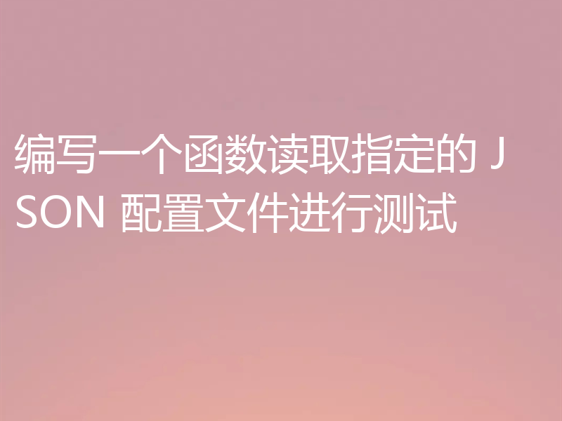 编写一个函数读取指定的 JSON 配置文件进行测试