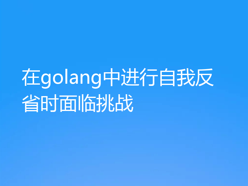 在golang中进行自我反省时面临挑战