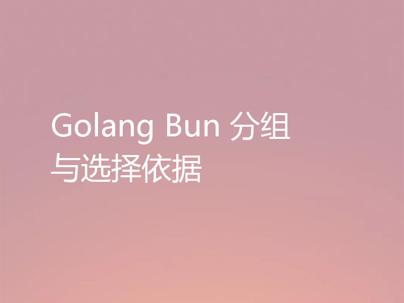 Golang Bun 分组与选择依据