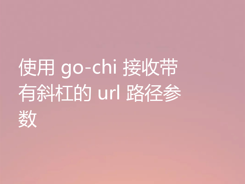 使用 go-chi 接收带有斜杠的 url 路径参数