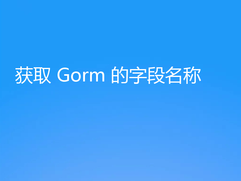 获取 Gorm 的字段名称