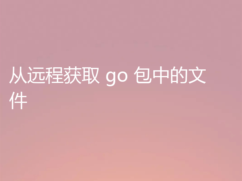 从远程获取 go 包中的文件