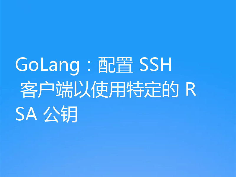 GoLang：配置 SSH 客户端以使用特定的 RSA 公钥