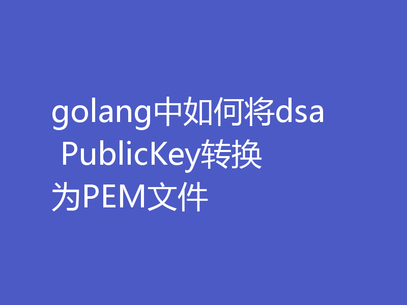 golang中如何将dsa PublicKey转换为PEM文件