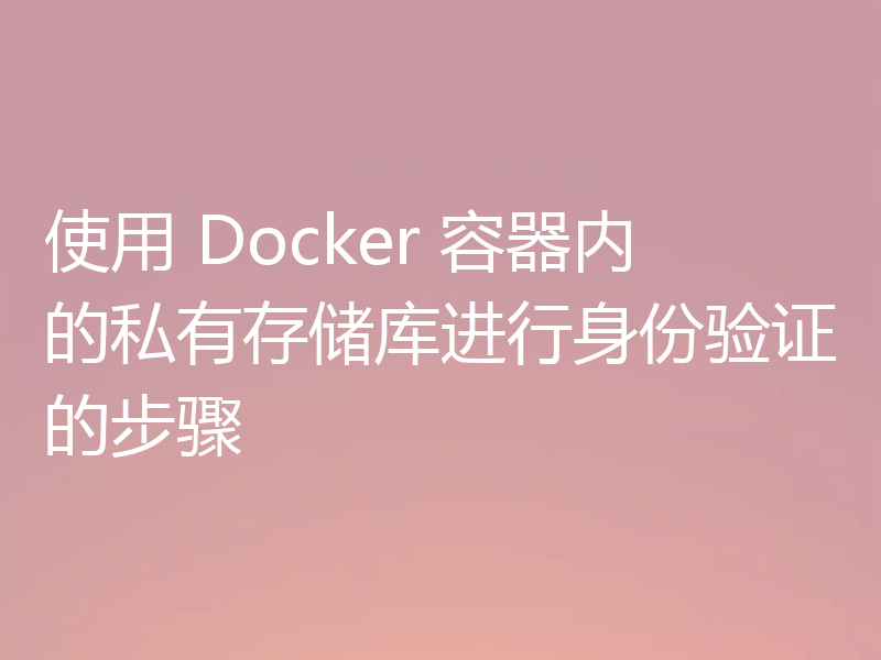 使用 Docker 容器内的私有存储库进行身份验证的步骤