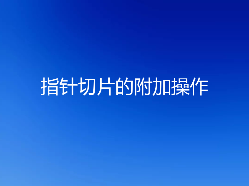 指针切片的附加操作