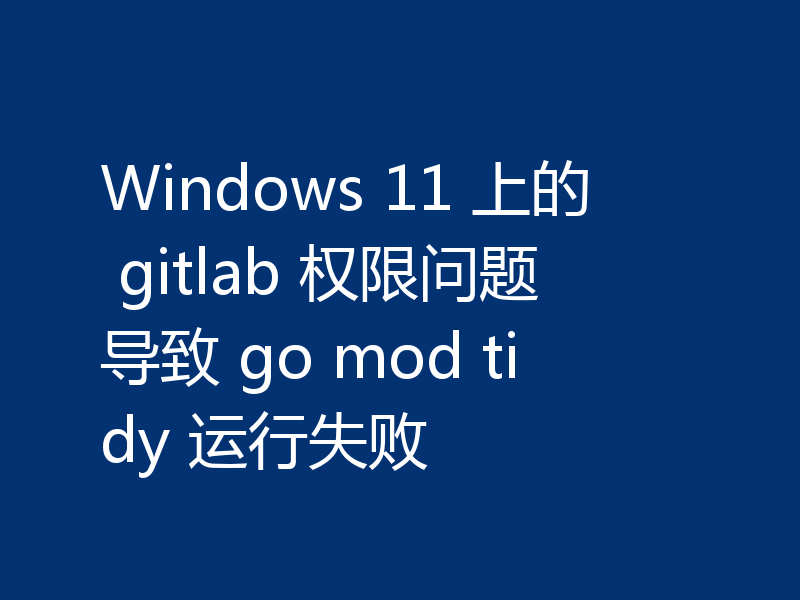 Windows 11 上的 gitlab 权限问题导致 go mod tidy 运行失败