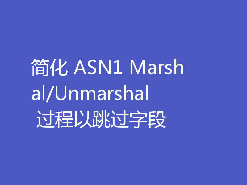 简化 ASN1 Marshal/Unmarshal 过程以跳过字段