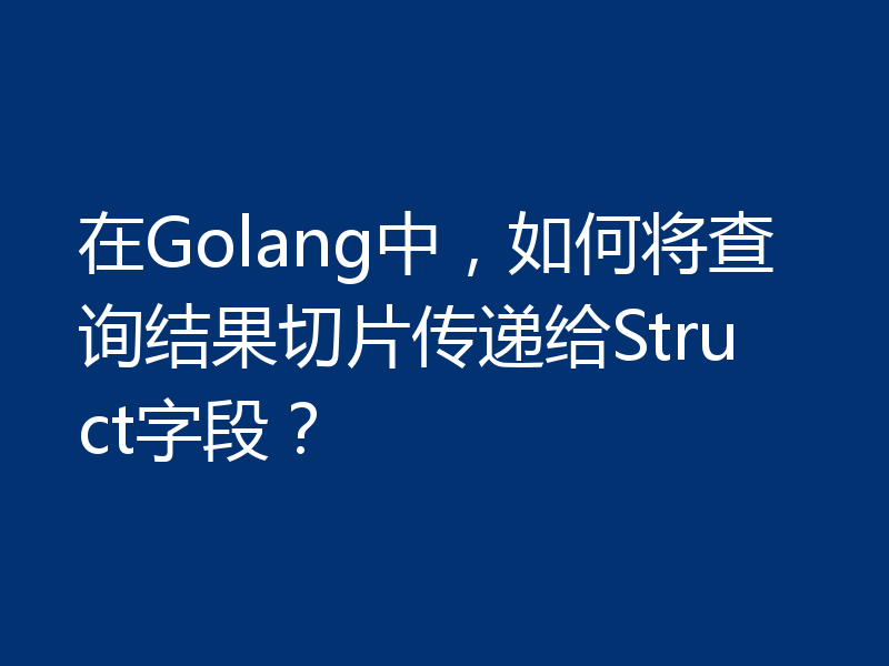 在Golang中，如何将查询结果切片传递给Struct字段？