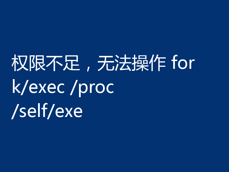 权限不足，无法操作 fork/exec /proc/self/exe