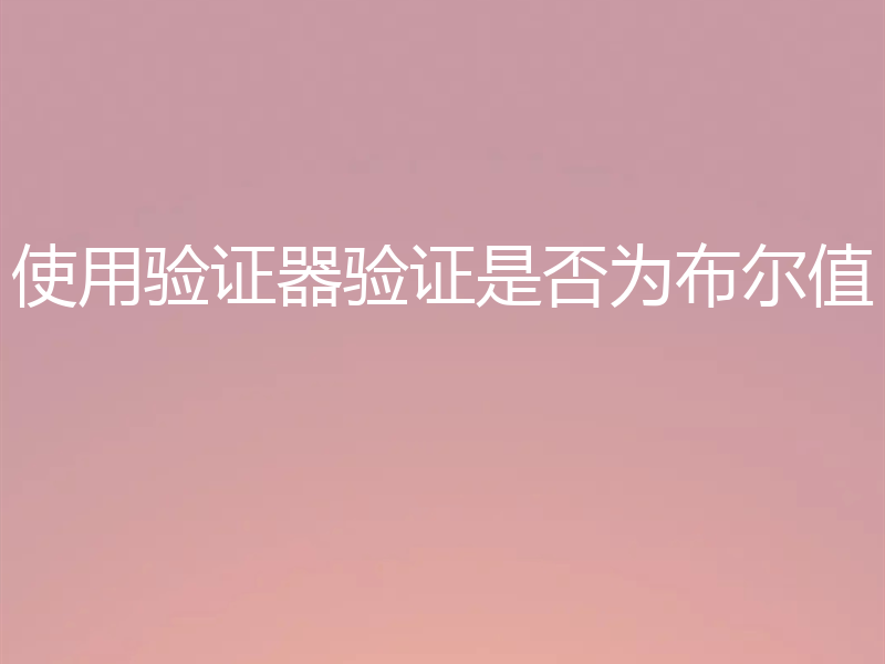 使用验证器验证是否为布尔值