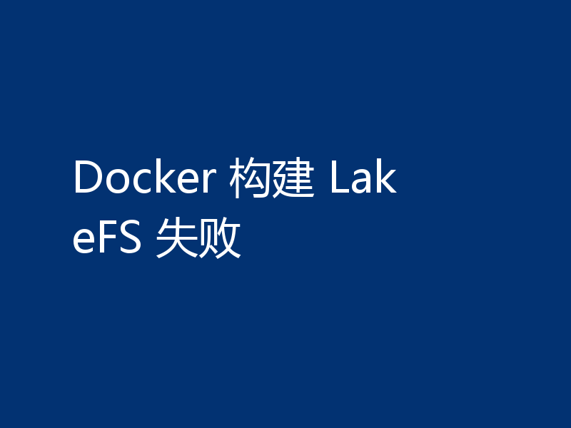 Docker 构建 LakeFS 失败