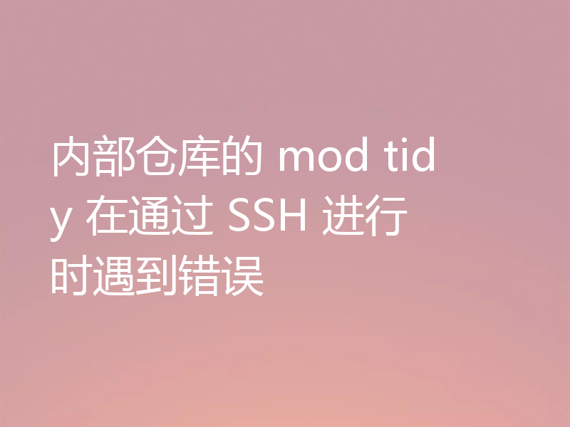 内部仓库的 mod tidy 在通过 SSH 进行时遇到错误