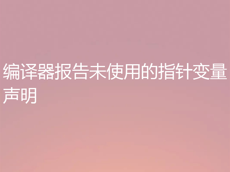 编译器报告未使用的指针变量声明
