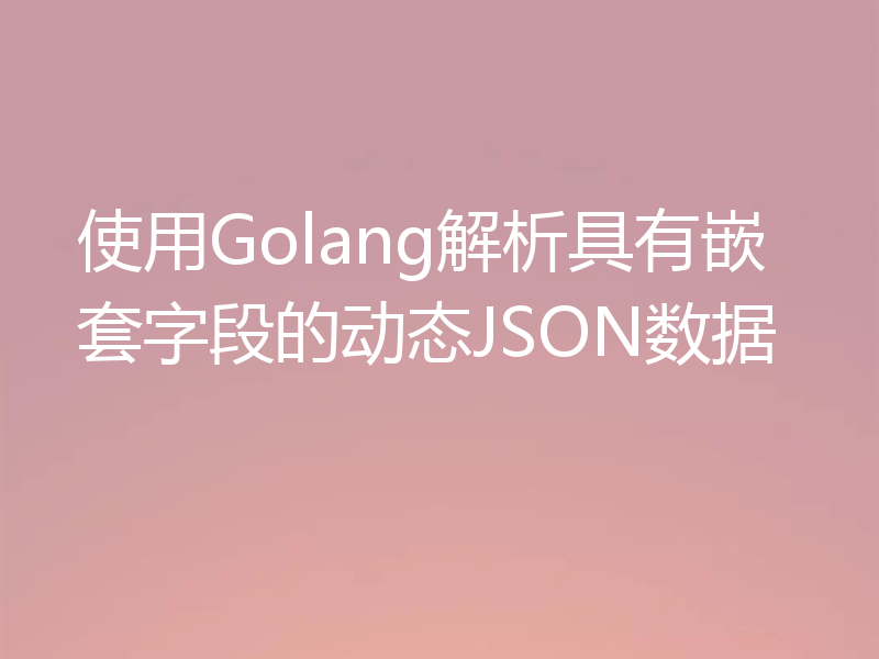 使用Golang解析具有嵌套字段的动态JSON数据