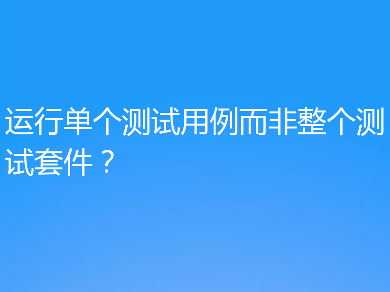 运行单个测试用例而非整个测试套件？