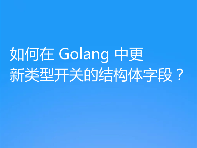 如何在 Golang 中更新类型开关的结构体字段？