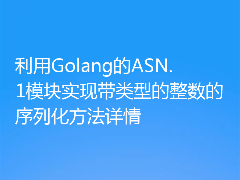 利用Golang的ASN.1模块实现带类型的整数的序列化方法详情