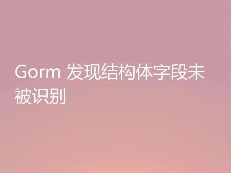 Gorm 发现结构体字段未被识别