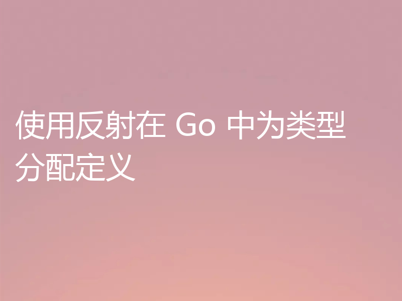 使用反射在 Go 中为类型分配定义