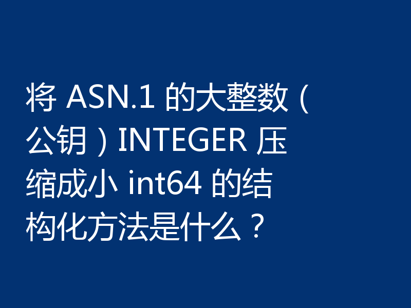 将 ASN.1 的大整数（公钥）INTEGER 压缩成小 int64 的结构化方法是什么？