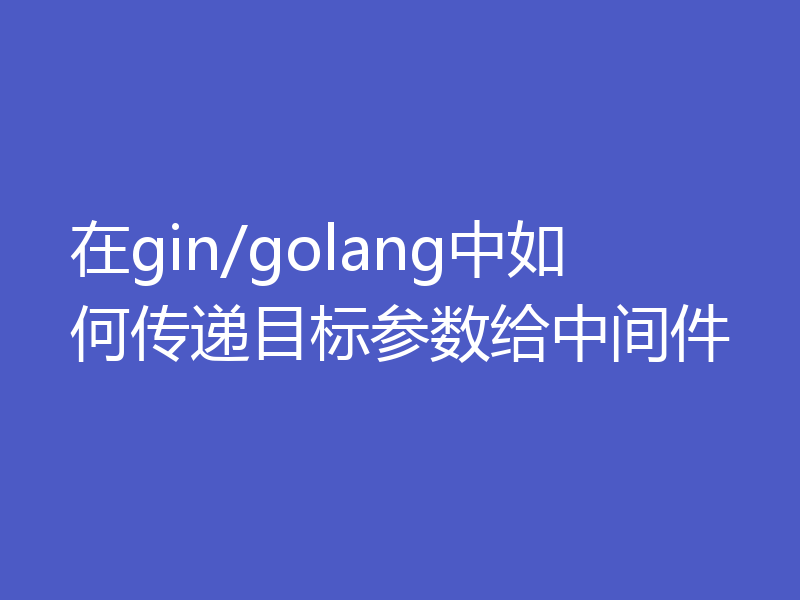 在gin/golang中如何传递目标参数给中间件