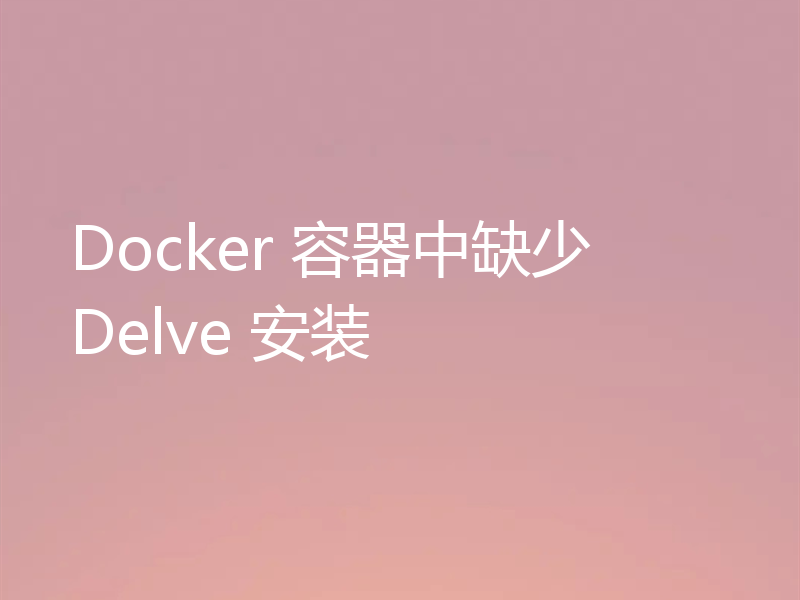 Docker 容器中缺少 Delve 安装