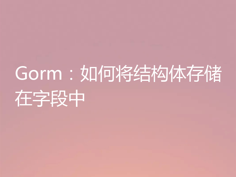 Gorm：如何将结构体存储在字段中