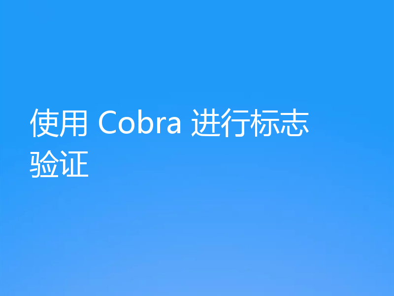 使用 Cobra 进行标志验证