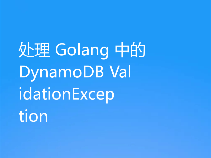 处理 Golang 中的 DynamoDB ValidationException