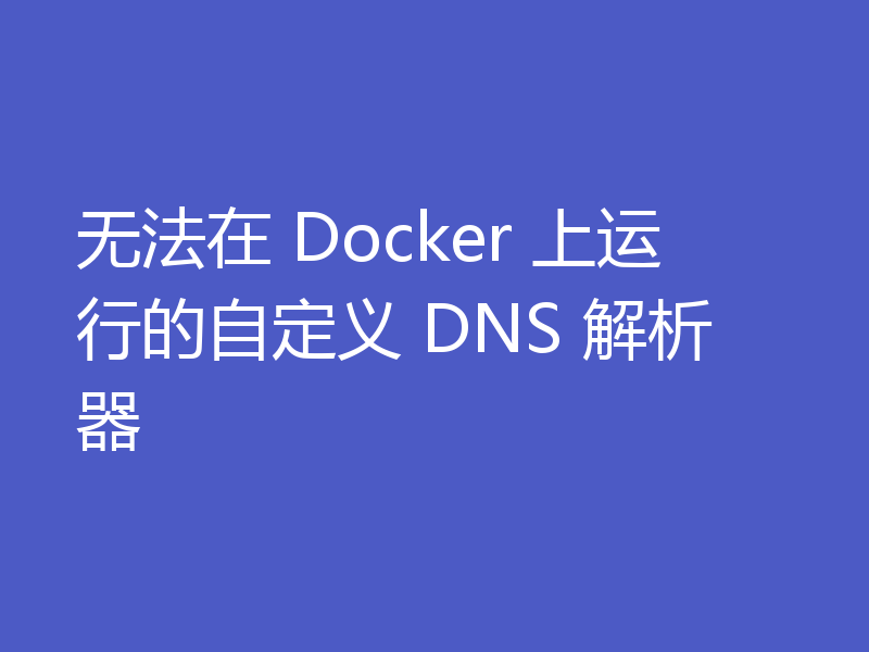 无法在 Docker 上运行的自定义 DNS 解析器