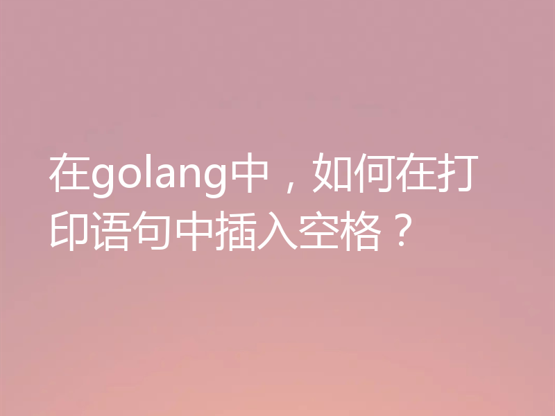 在golang中，如何在打印语句中插入空格？