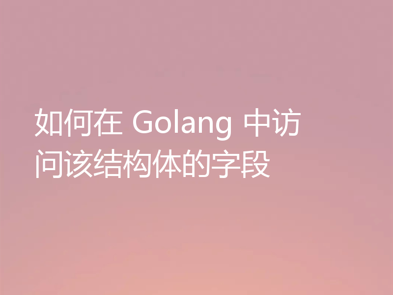 如何在 Golang 中访问该结构体的字段
