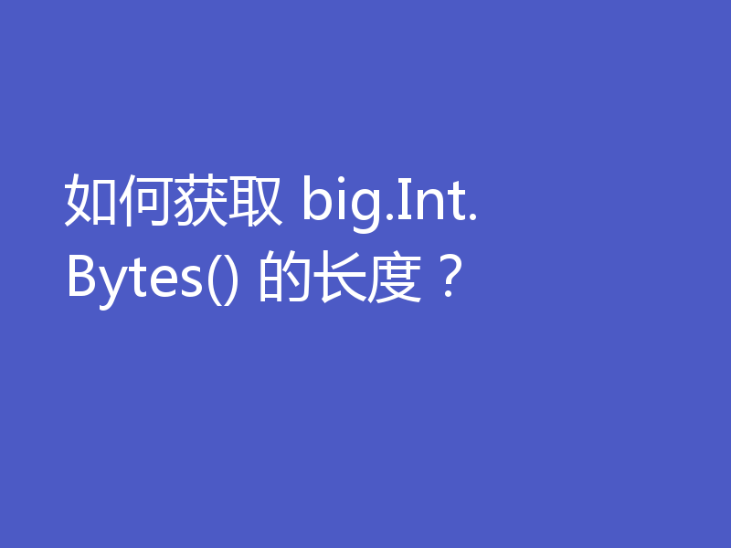 如何获取 big.Int.Bytes() 的长度？