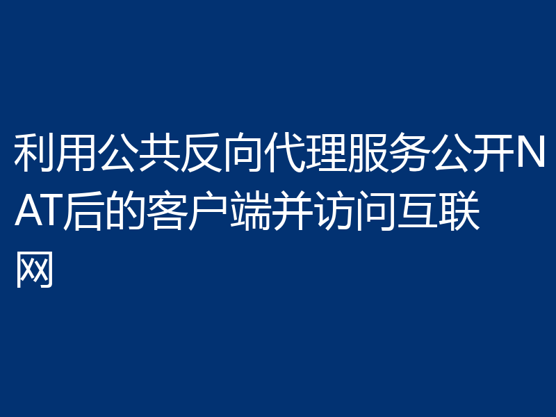 利用公共反向代理服务公开NAT后的客户端并访问互联网