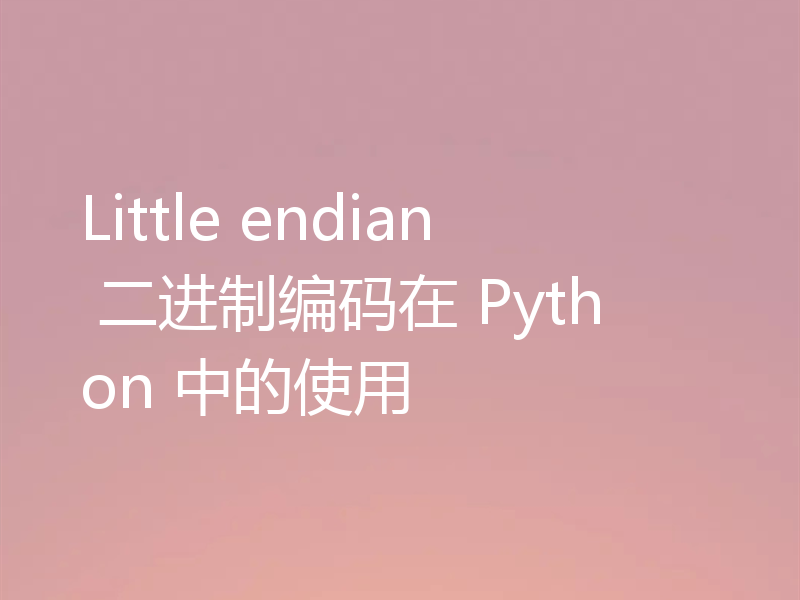 Little endian 二进制编码在 Python 中的使用