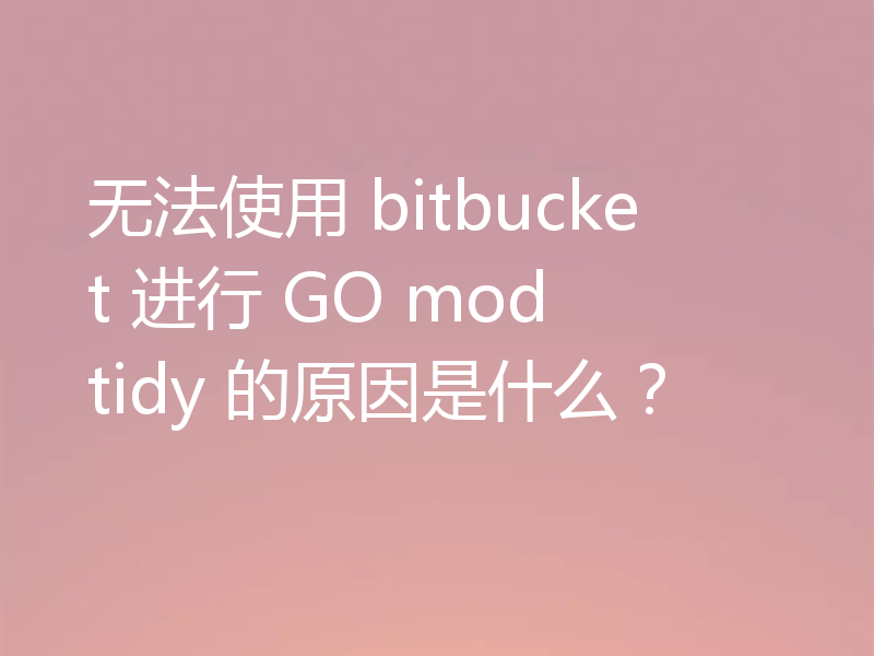 无法使用 bitbucket 进行 GO mod tidy 的原因是什么？