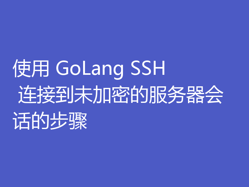 使用 GoLang SSH 连接到未加密的服务器会话的步骤