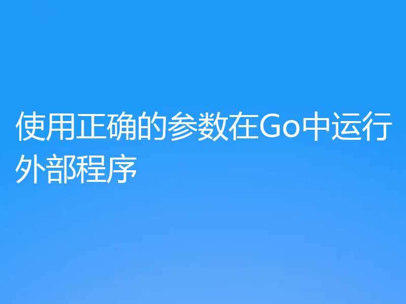 使用正确的参数在Go中运行外部程序