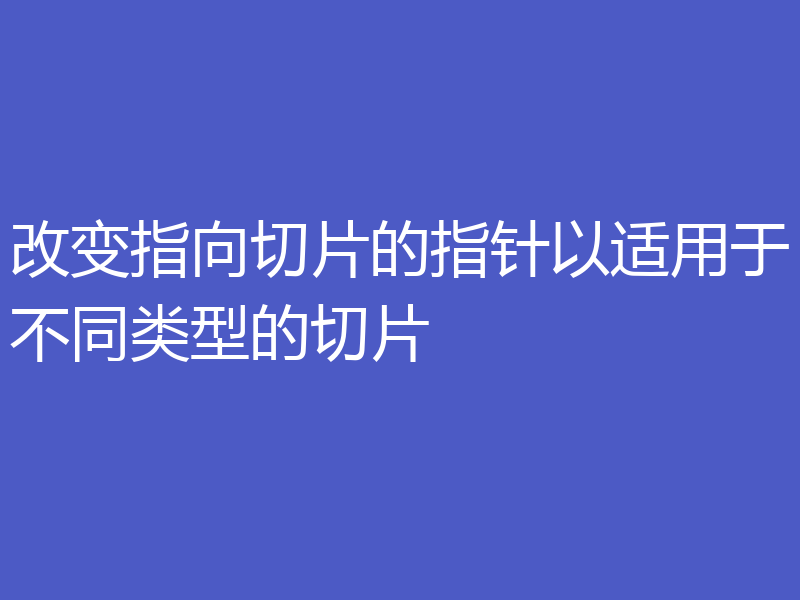 改变指向切片的指针以适用于不同类型的切片