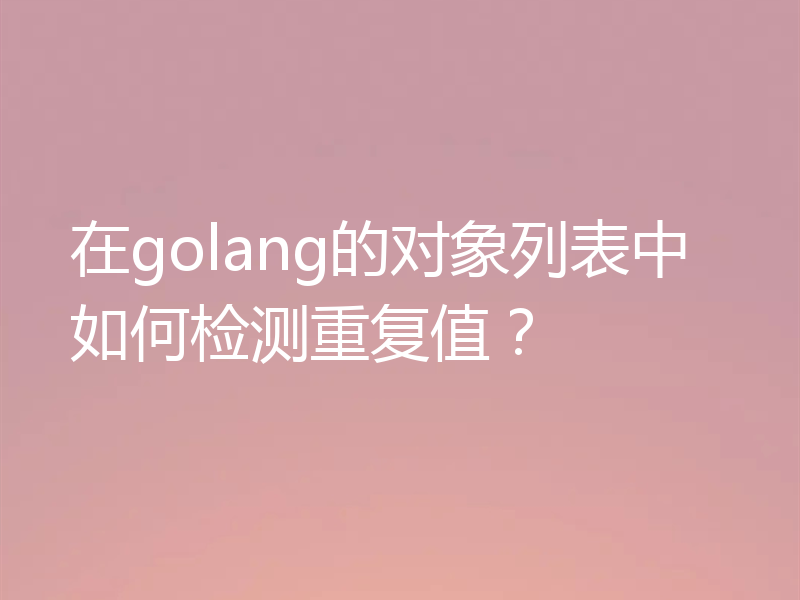 在golang的对象列表中如何检测重复值？