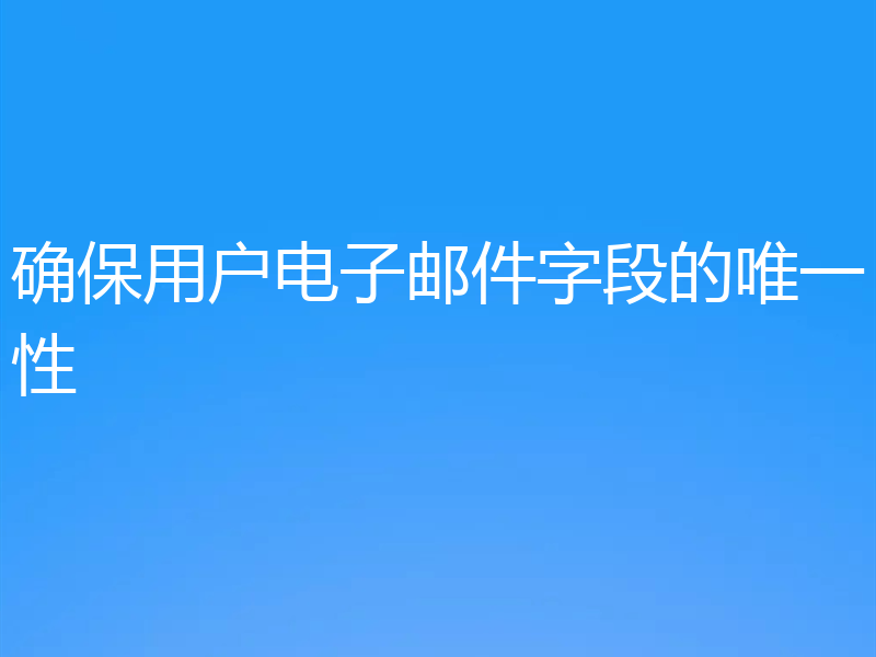 确保用户电子邮件字段的唯一性