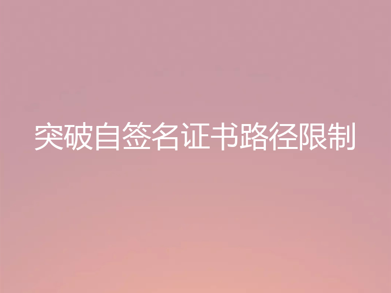 突破自签名证书路径限制
