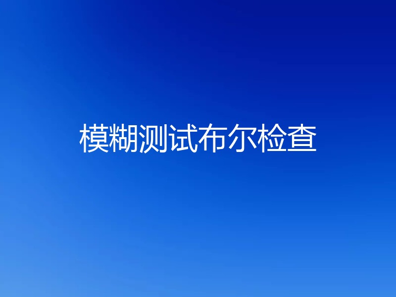 模糊测试布尔检查