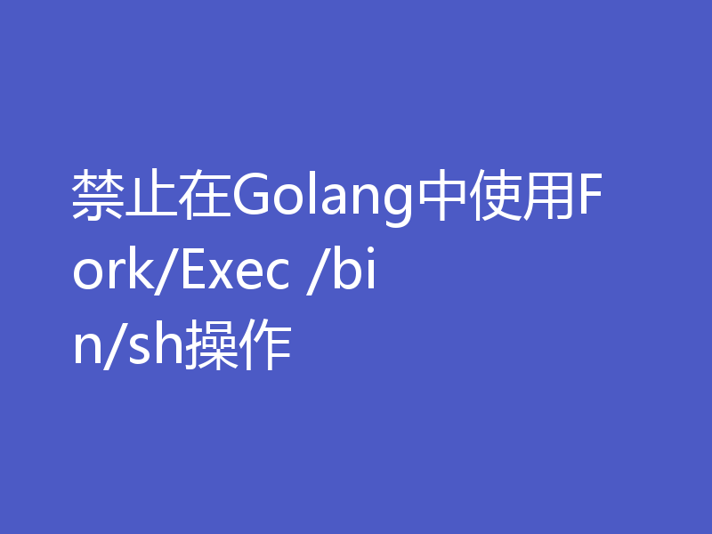 禁止在Golang中使用Fork/Exec /bin/sh操作